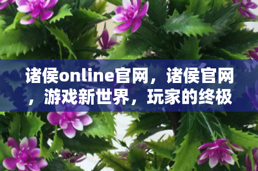 诸侯online官网，诸侯官网，游戏新世界，玩家的终极战场