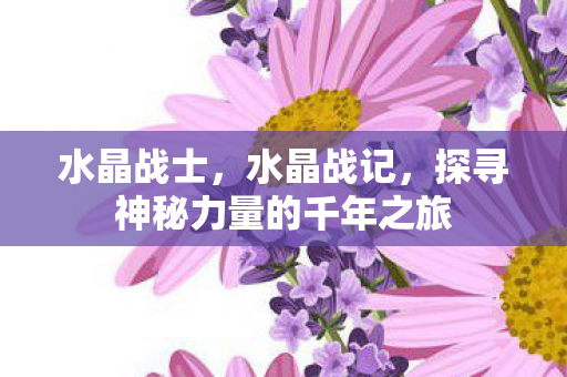 水晶战士，水晶战记，探寻神秘力量的千年之旅