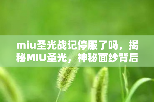 miu圣光战记停服了吗，揭秘MIU圣光，神秘面纱背后的真相