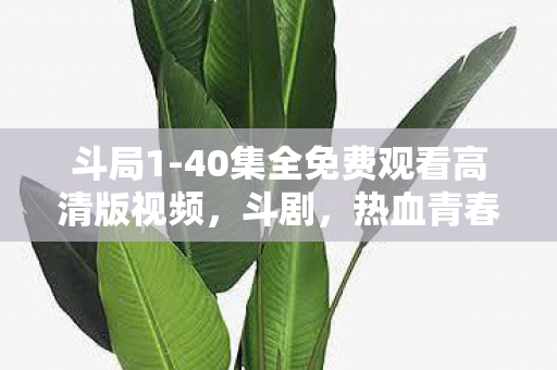 斗局1-40集全免费观看高清版视频，斗剧，热血青春与梦想的舞台