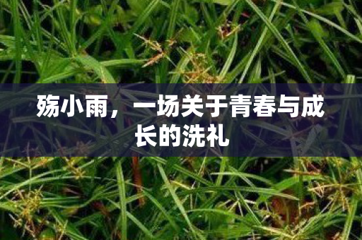 殇小雨，一场关于青春与成长的洗礼