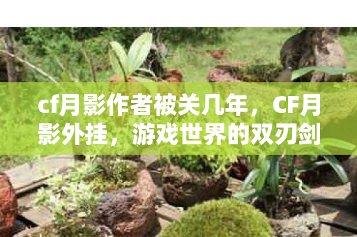 cf月影作者被关几年，CF月影外挂，游戏世界的双刃剑