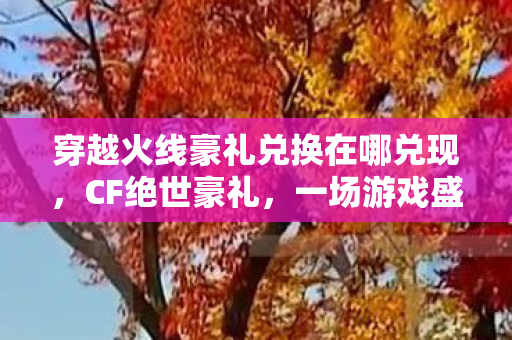 穿越火线豪礼兑换在哪兑现，CF绝世豪礼，一场游戏盛宴的独家揭秘