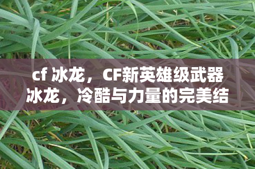 cf 冰龙，CF新英雄级武器冰龙，冷酷与力量的完美结合