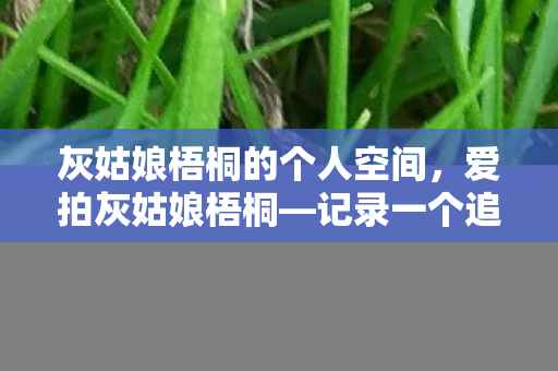 灰姑娘梧桐的个人空间，爱拍灰姑娘梧桐—记录一个追梦少女的奋斗历程