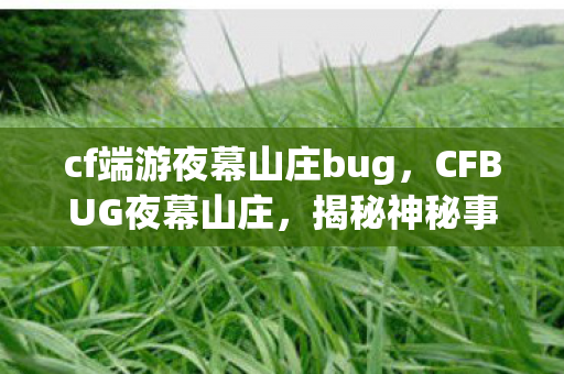 cf端游夜幕山庄bug，CFBUG夜幕山庄，揭秘神秘事件背后的真相
