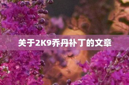 关于2K9乔丹补丁的文章