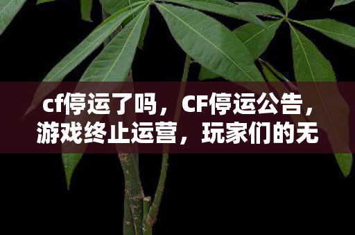 cf停运了吗，CF停运公告，游戏终止运营，玩家们的无尽遗憾与未来的思考