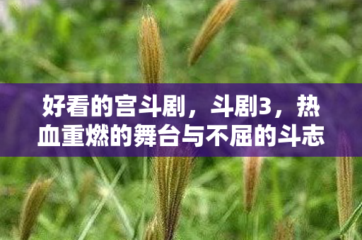 好看的宫斗剧，斗剧3，热血重燃的舞台与不屈的斗志