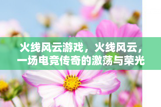 火线风云游戏，火线风云，一场电竞传奇的激荡与荣光