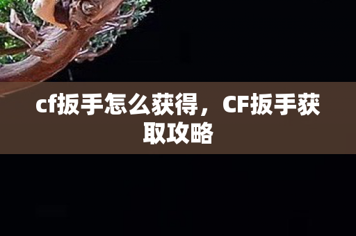 cf扳手怎么获得，CF扳手获取攻略