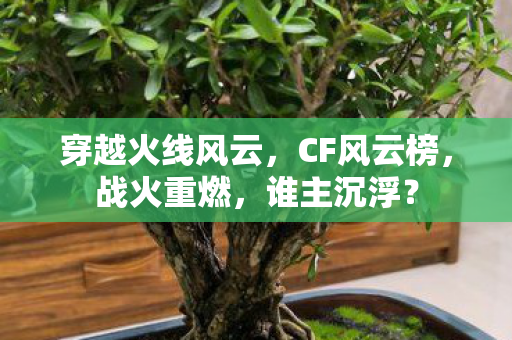 穿越火线风云，CF风云榜，战火重燃，谁主沉浮？