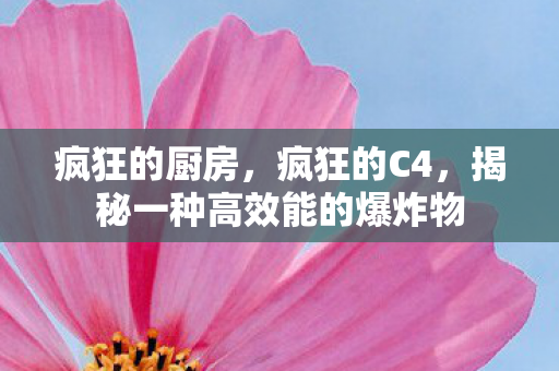 疯狂的厨房，疯狂的C4，揭秘一种高效能的爆炸物