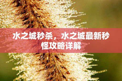 水之城秒杀，水之城最新秒怪攻略详解