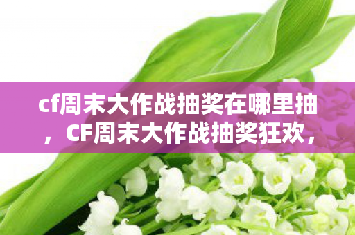 cf周末大作战抽奖在哪里抽，CF周末大作战抽奖狂欢，赢取丰厚奖励！