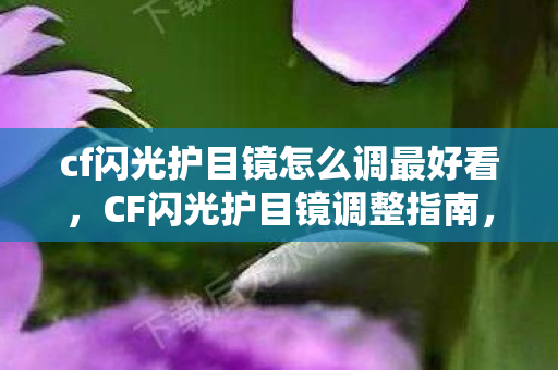 cf闪光护目镜怎么调最好看，CF闪光护目镜调整指南，轻松应对游戏中的视觉干扰