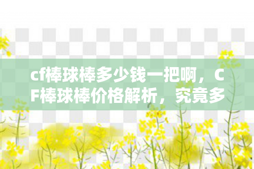 cf棒球棒多少钱一把啊，CF棒球棒价格解析，究竟多少钱？