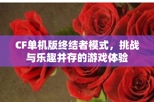 CF单机版终结者模式，挑战与乐趣并存的游戏体验