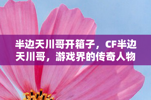 半边天川哥开箱子，CF半边天川哥，游戏界的传奇人物