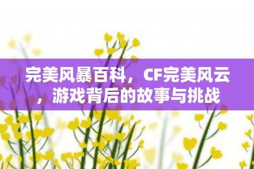 完美风暴百科，CF完美风云，游戏背后的故事与挑战