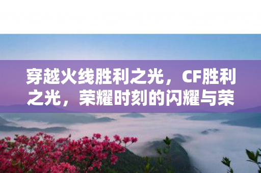 穿越火线胜利之光，CF胜利之光，荣耀时刻的闪耀与荣光之路的探寻