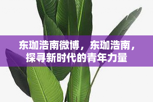 东珈浩南微博，东珈浩南，探寻新时代的青年力量
