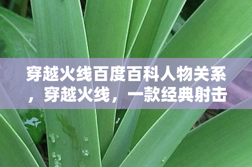 穿越火线百度百科人物关系，穿越火线，一款经典射击游戏的深度解析