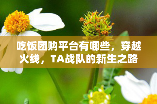 吃饭团购平台有哪些，穿越火线，TA战队的新生之路（CFTG）