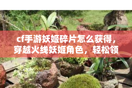 cf手游妖姬碎片怎么获得，穿越火线妖姬角色，轻松领取攻略大揭秘！