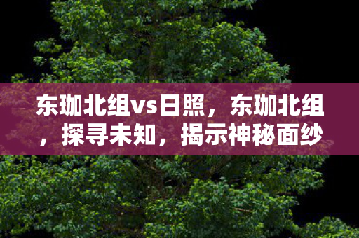 东珈北组vs日照，东珈北组，探寻未知，揭示神秘面纱背后的真相