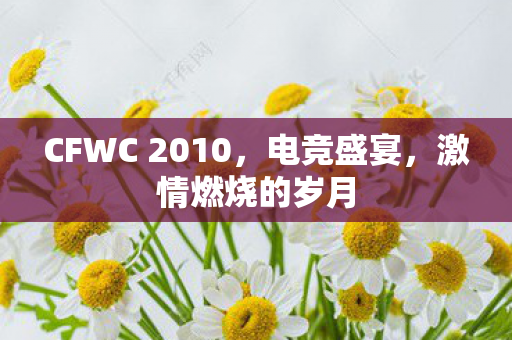 CFWC 2010，电竞盛宴，激情燃烧的岁月