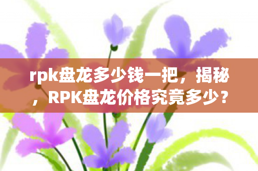 rpk盘龙多少钱一把，揭秘，RPK盘龙价格究竟多少？