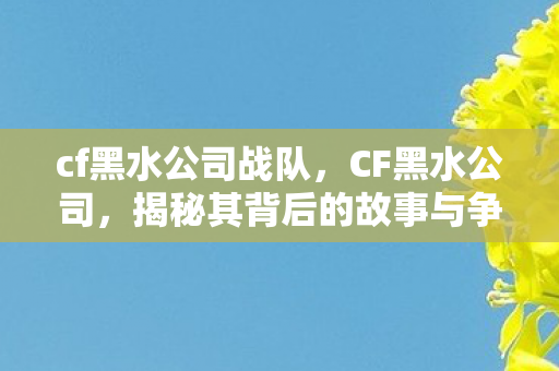 cf黑水公司战队，CF黑水公司，揭秘其背后的故事与争议