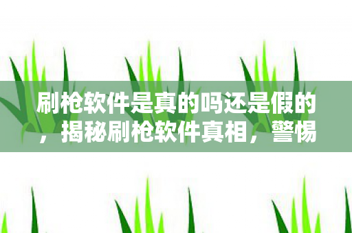 刷枪软件是真的吗还是假的，揭秘刷枪软件真相，警惕网络虚假宣传！