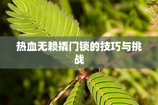 热血无赖撬门锁的技巧与挑战