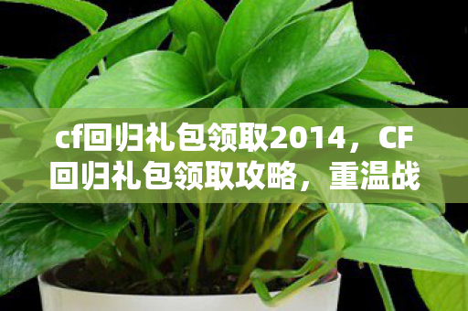 cf回归礼包领取2014，CF回归礼包领取攻略，重温战场，福利等你来拿！2013年）