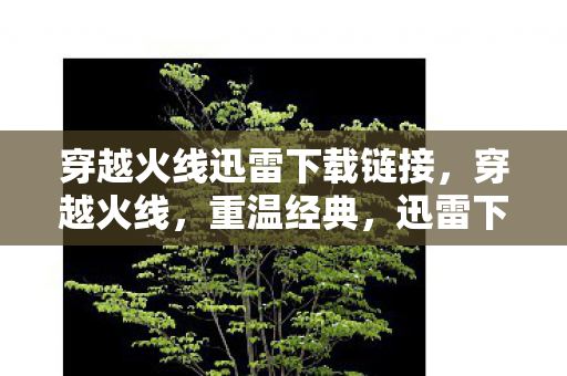 穿越火线迅雷下载链接，穿越火线，重温经典，迅雷下载助力畅游战场