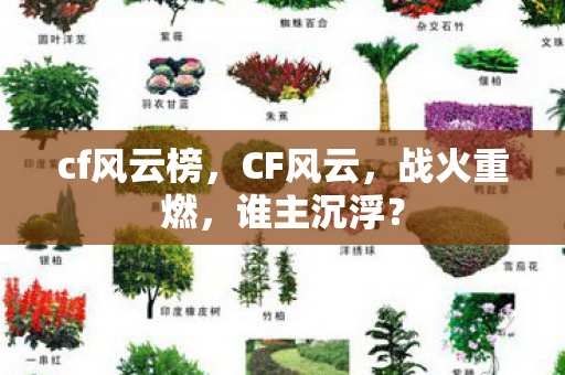 cf风云榜，CF风云，战火重燃，谁主沉浮？