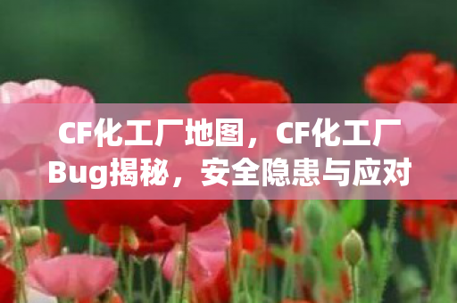CF化工厂地图，CF化工厂Bug揭秘，安全隐患与应对之策