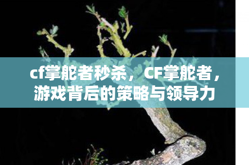 cf掌舵者秒杀，CF掌舵者，游戏背后的策略与领导力