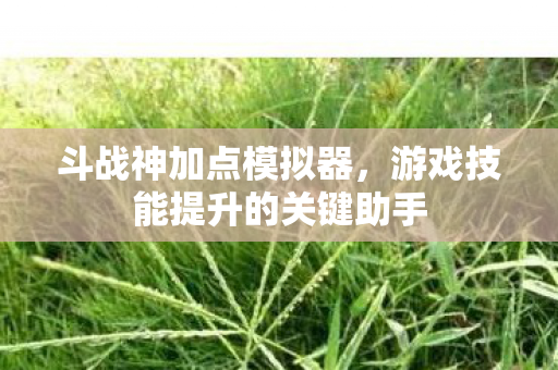 斗战神加点模拟器，游戏技能提升的关键助手