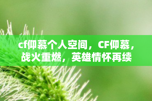 cf仰慕个人空间，CF仰慕，战火重燃，英雄情怀再续
