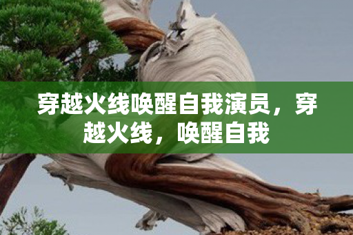 穿越火线唤醒自我演员，穿越火线，唤醒自我