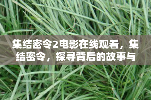 集结密令2电影在线观看，集结密令，探寻背后的故事与秘密