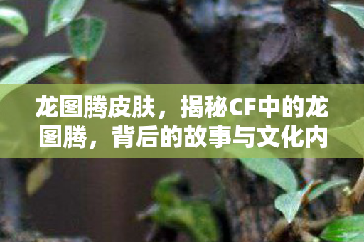 龙图腾皮肤，揭秘CF中的龙图腾，背后的故事与文化内涵