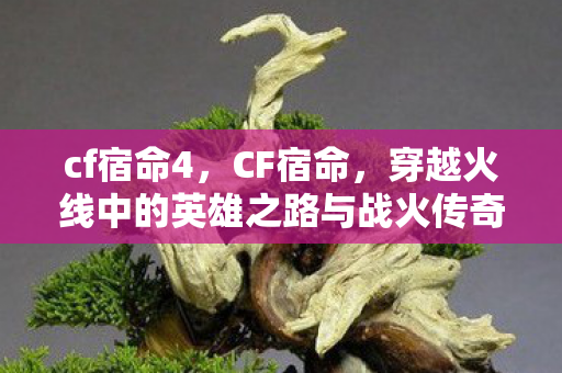 cf宿命4，CF宿命，穿越火线中的英雄之路与战火传奇