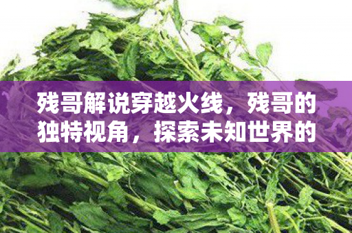 残哥解说穿越火线，残哥的独特视角，探索未知世界的独特魅力