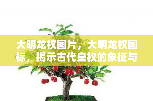 大明龙权图片，大明龙权图标，揭示古代皇权的象征与传承