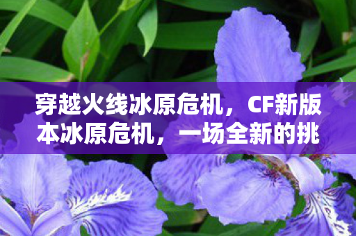 穿越火线冰原危机，CF新版本冰原危机，一场全新的挑战与冒险之旅