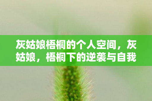 灰姑娘梧桐的个人空间，灰姑娘，梧桐下的逆袭与自我觉醒